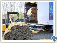 
Carga de pallets para repartos por Espaa. 
 