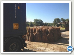 PROCESO DE CARGA DE SOMBRILLAS BRUC GIRONA PARA LA EXPORTACIN