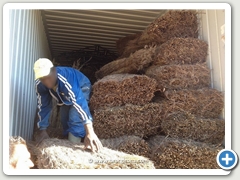 PROCESO DE CARGA DE SOMBRILLAS BRUC GIRONA PARA LA EXPORTACIN