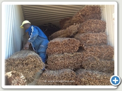 PROCESO DE CARGA DE SOMBRILLAS BRUC GIRONA PARA LA EXPORTACIN
