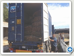 PROCESO DE CARGA DE SOMBRILLAS BRUC GIRONA PARA LA EXPORTACIN